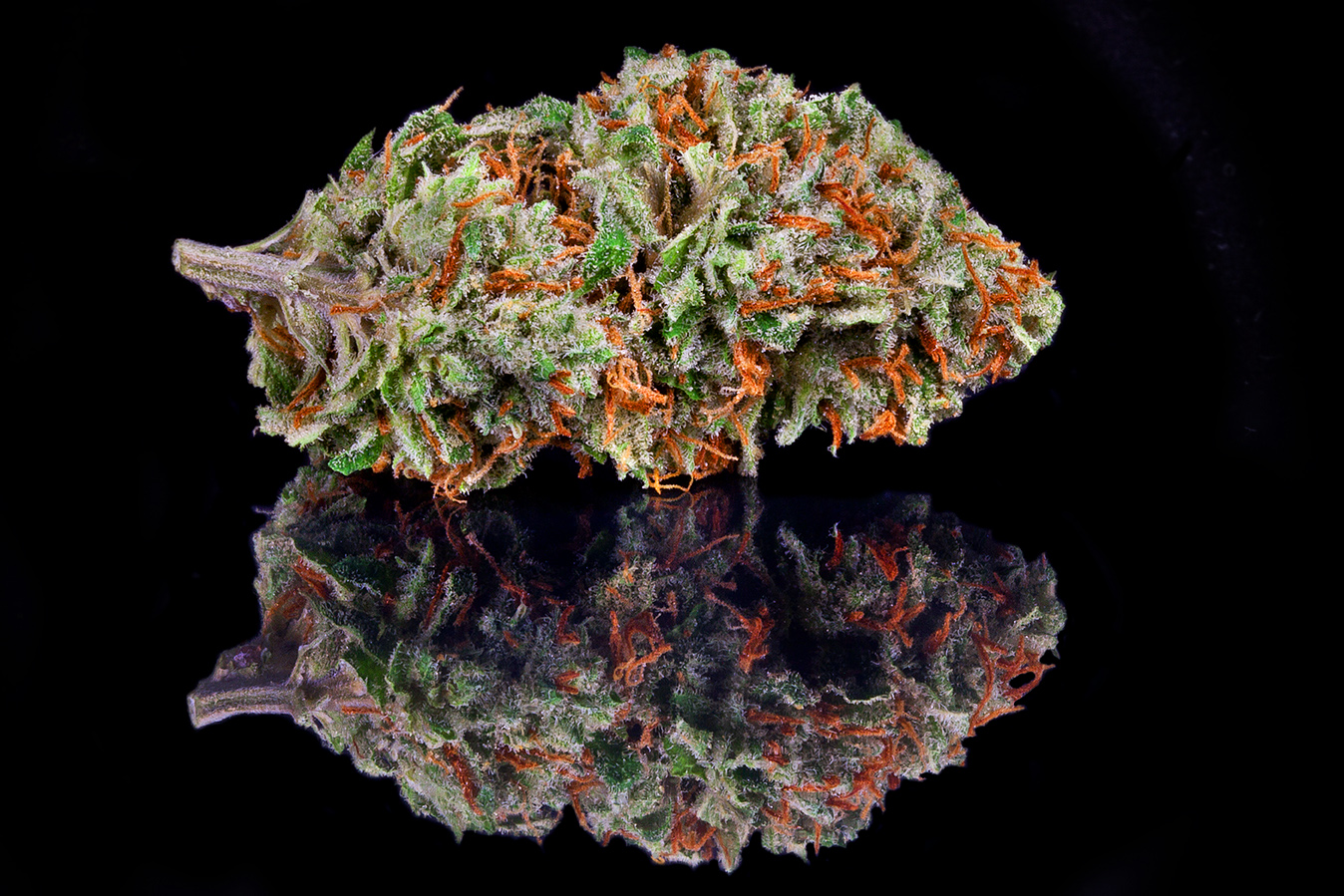 Lemon Haze